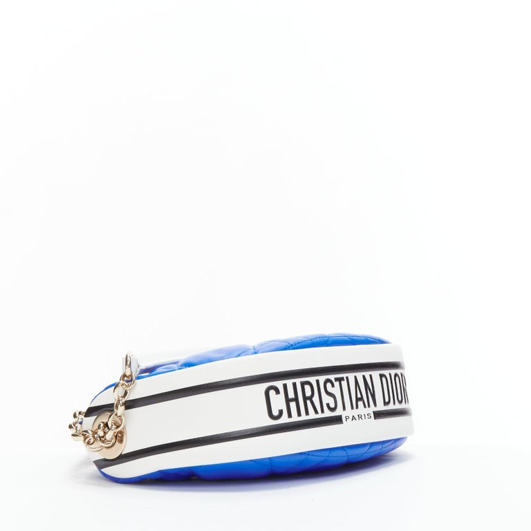 Christian Dior Vibe Hobo bag