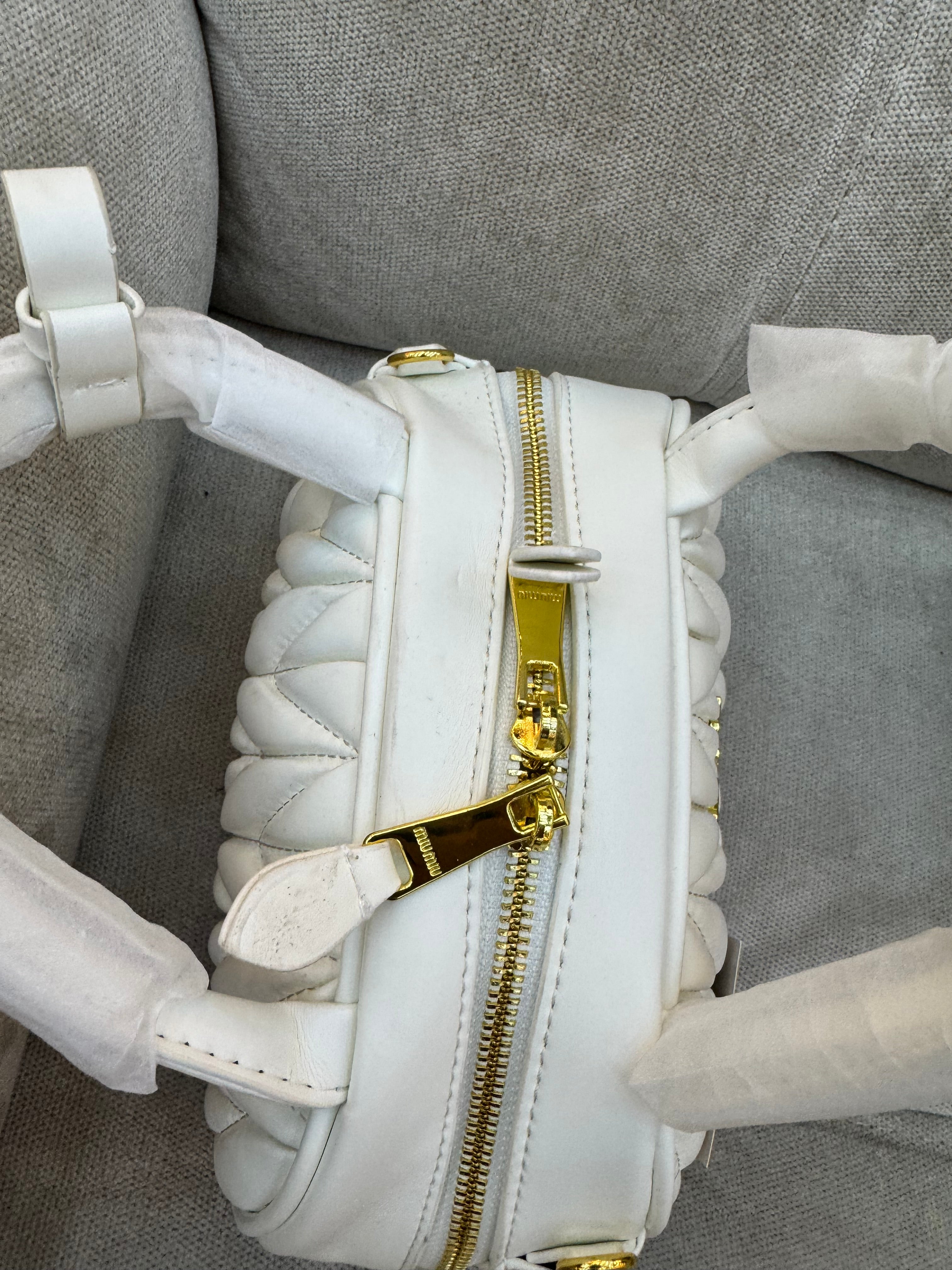 Miu Miu Arcadie bag