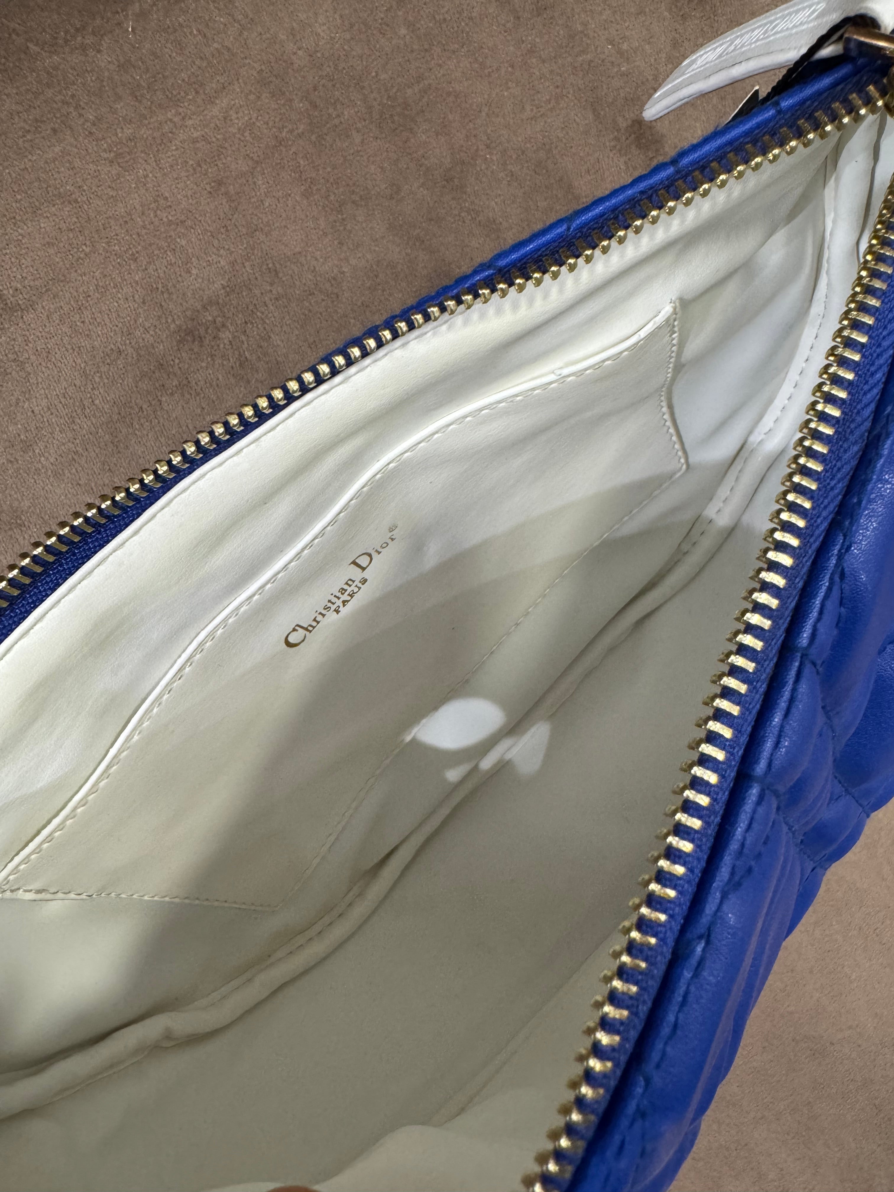 Christian Dior Vibe Hobo bag