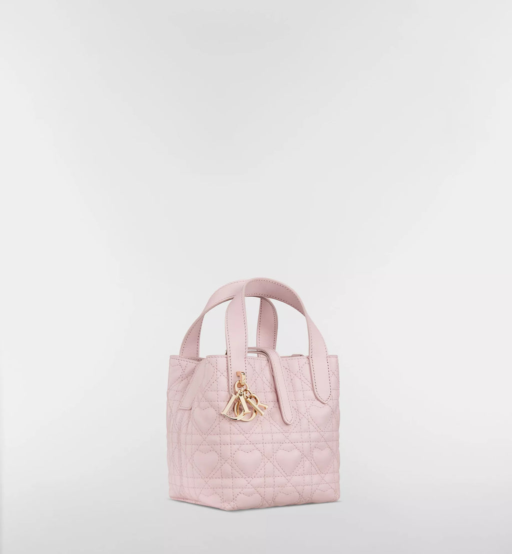 Dior Toujours bag