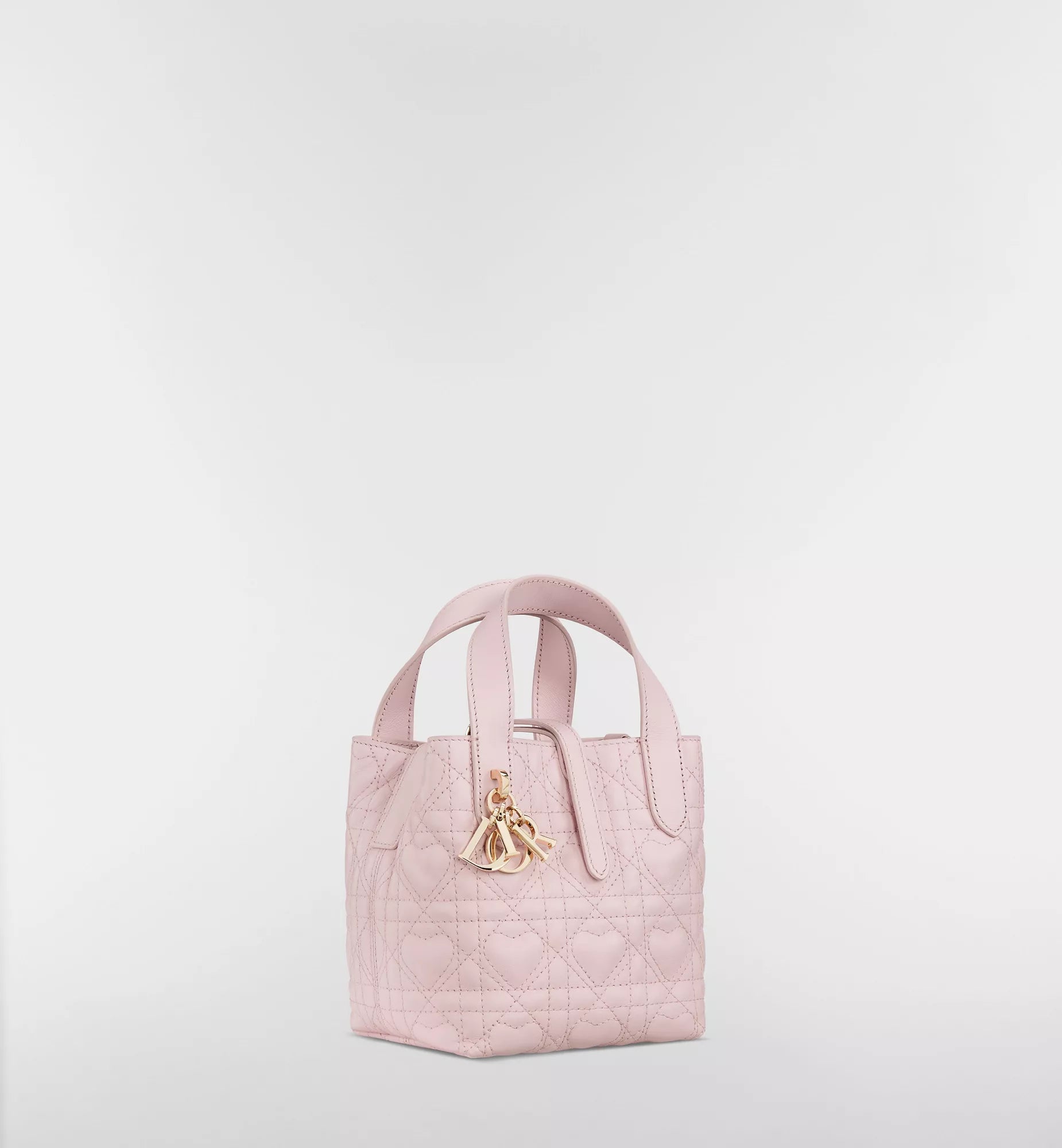 Dior Toujours bag