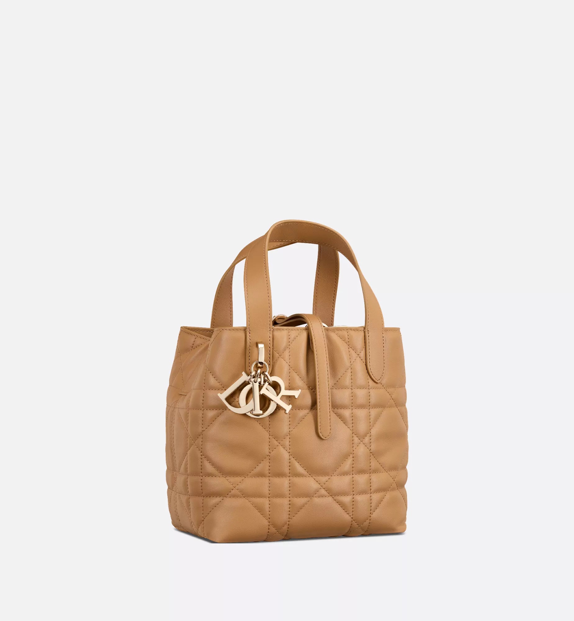 Dior Toujours bag