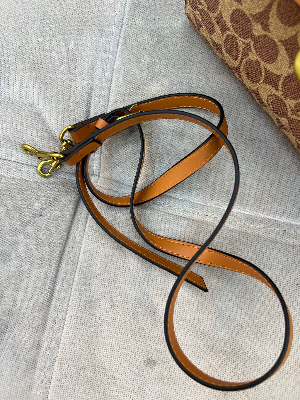 Coach Eliza Top Handle Bag