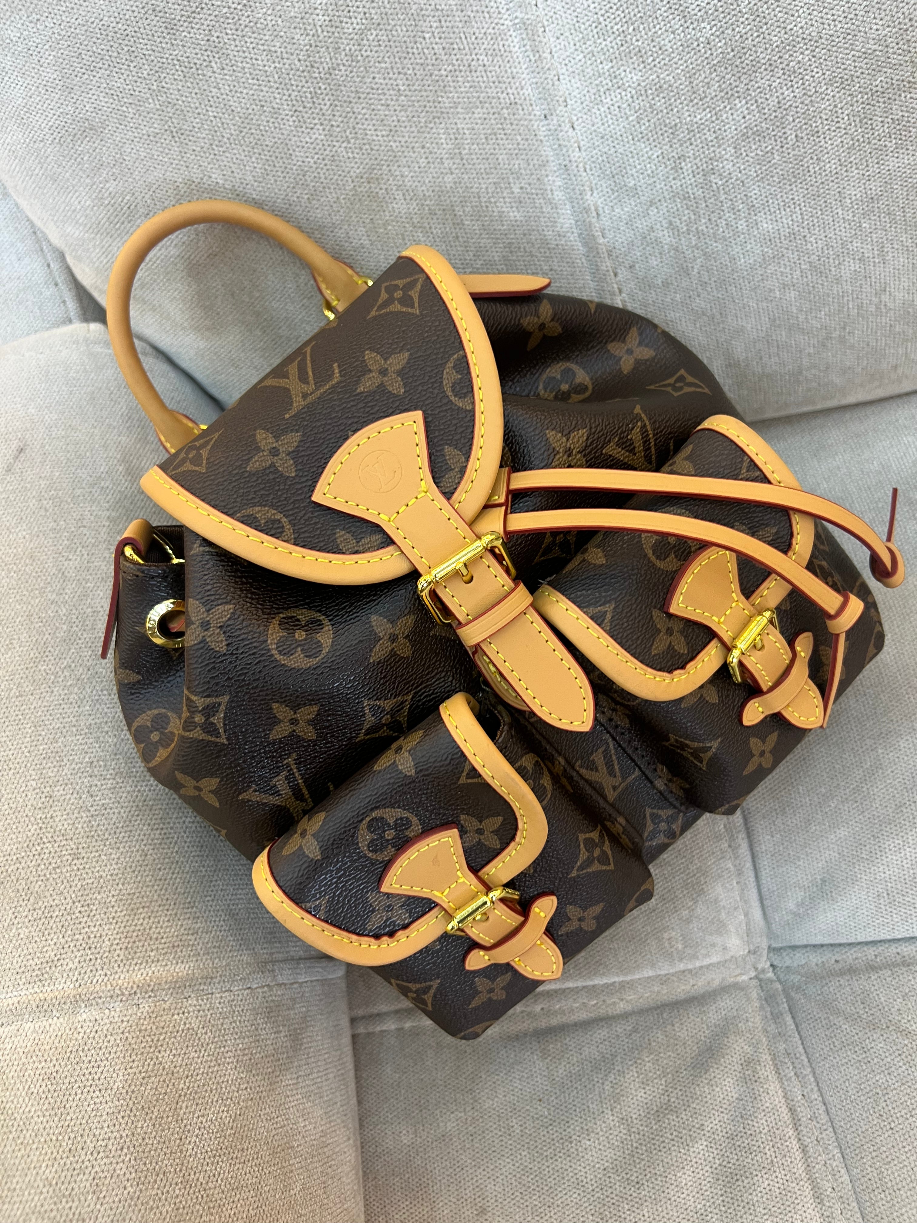 Louis Vuitton LV Monogram excursion backpack