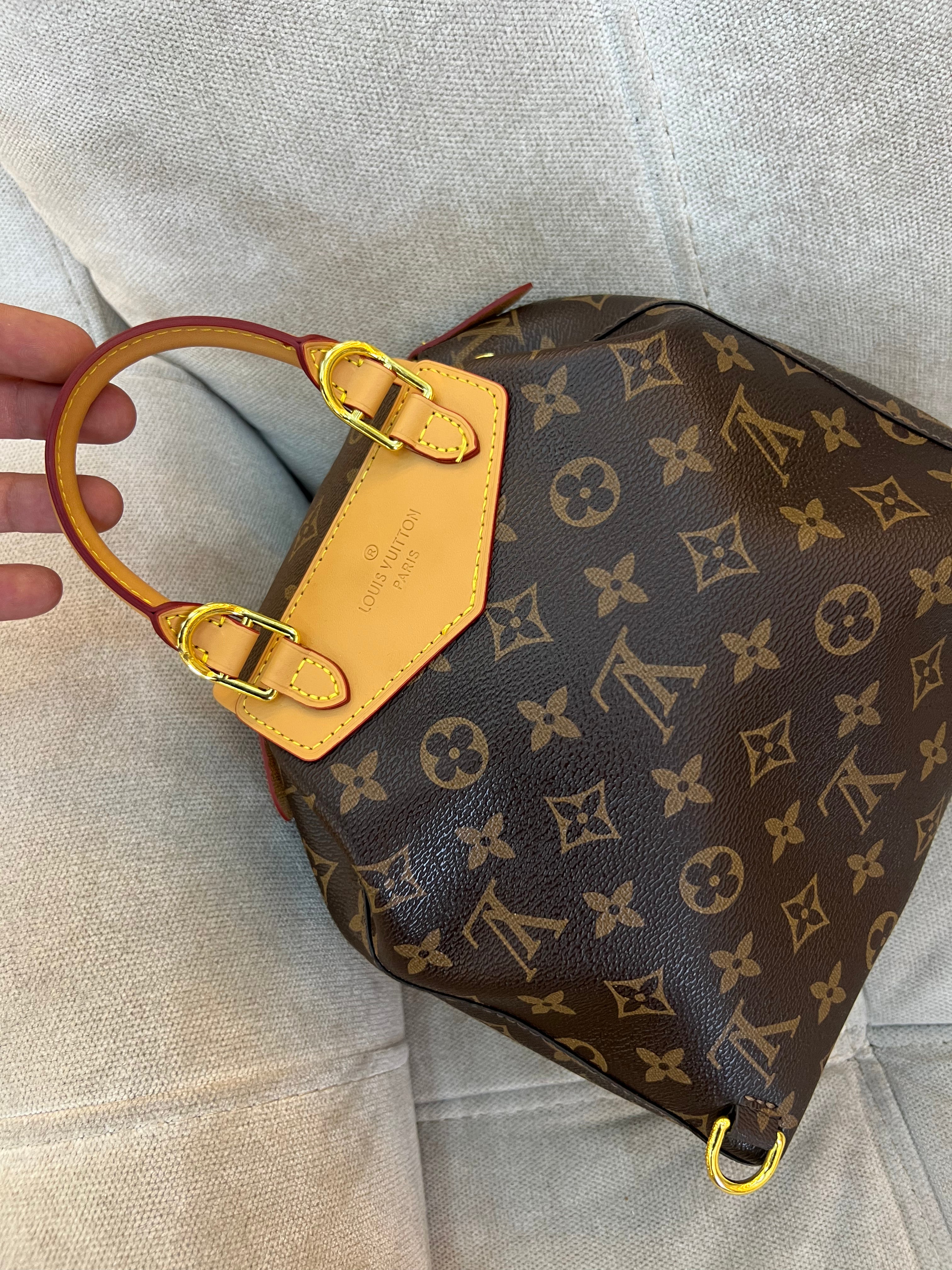 Louis Vuitton LV Monogram excursion backpack