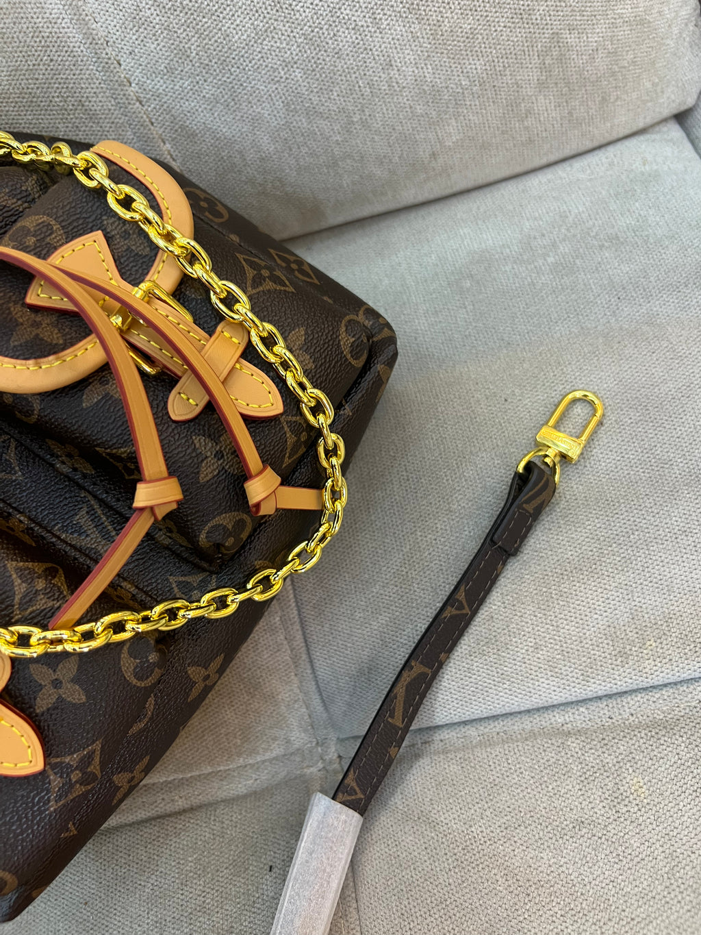 Louis Vuitton LV Monogram excursion backpack