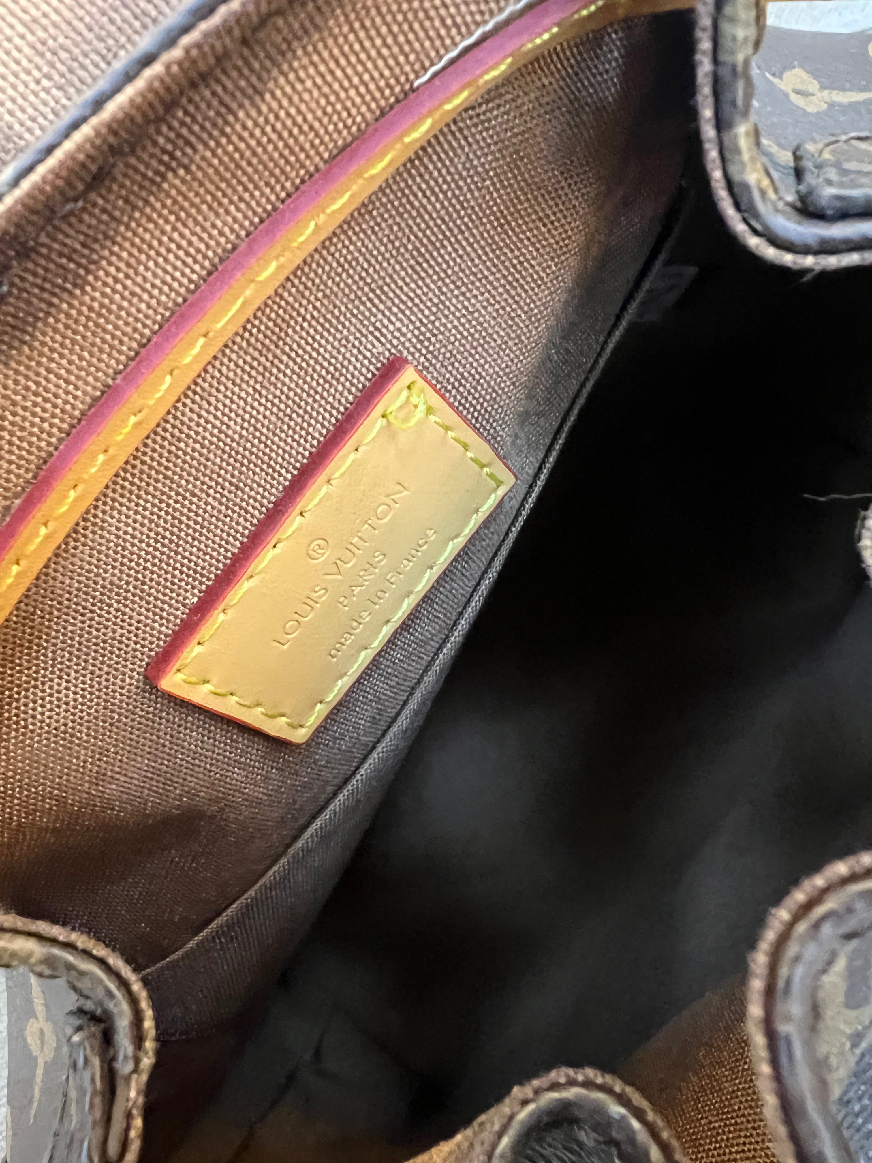 Louis Vuitton LV Monogram excursion backpack